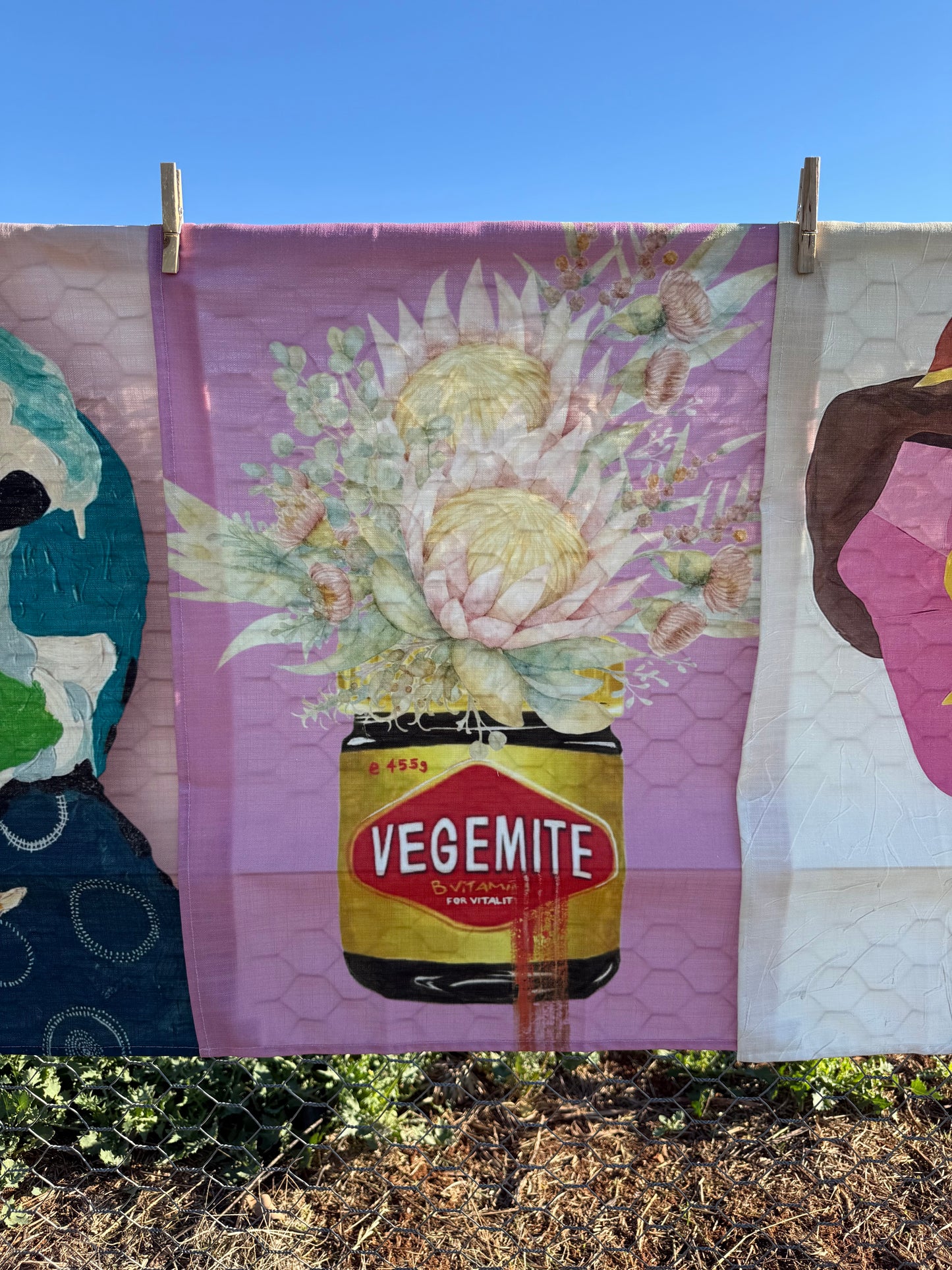 VEGEMITE BLOOMS