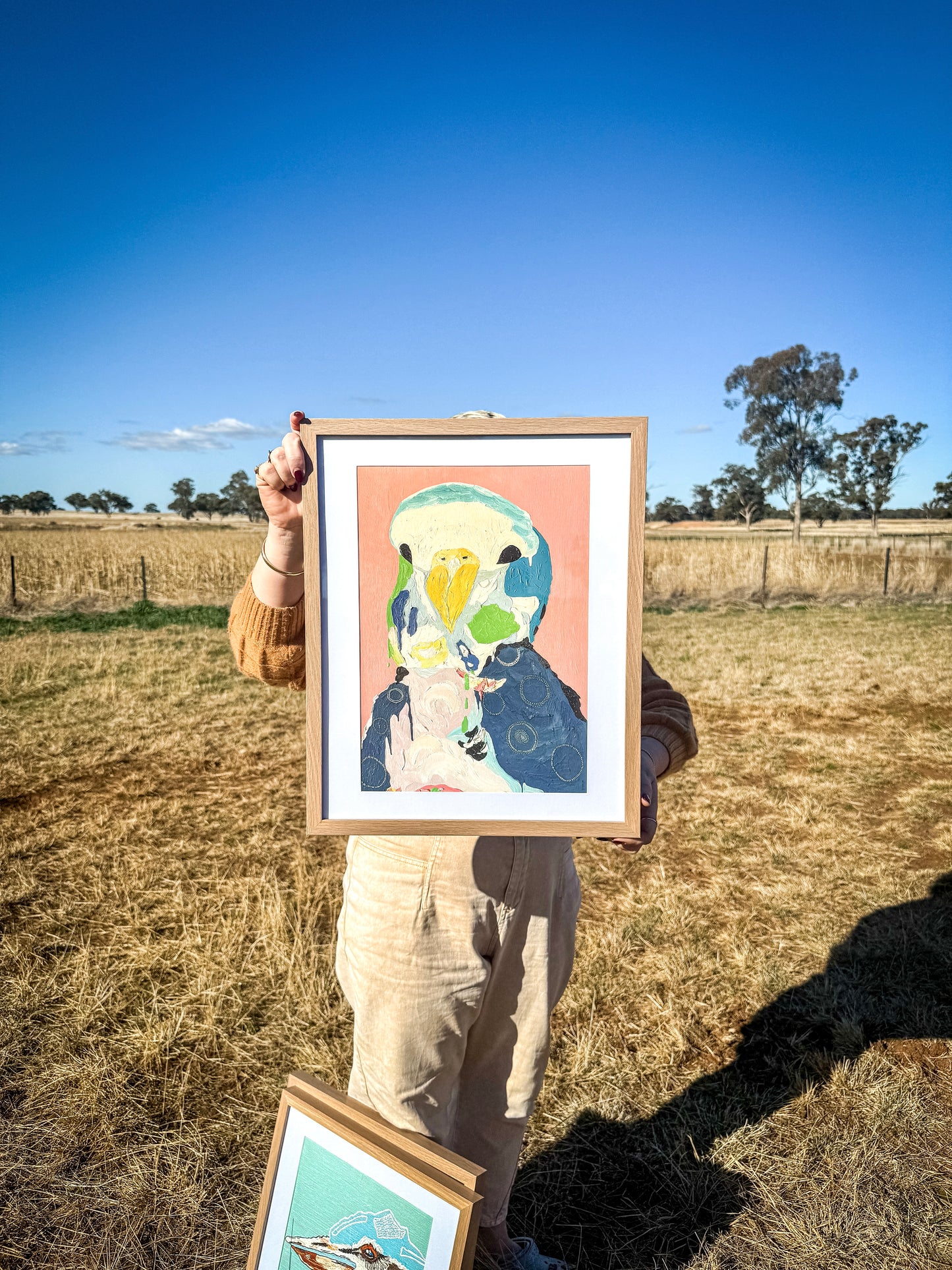 BARRY BUDGIE - A3 size print